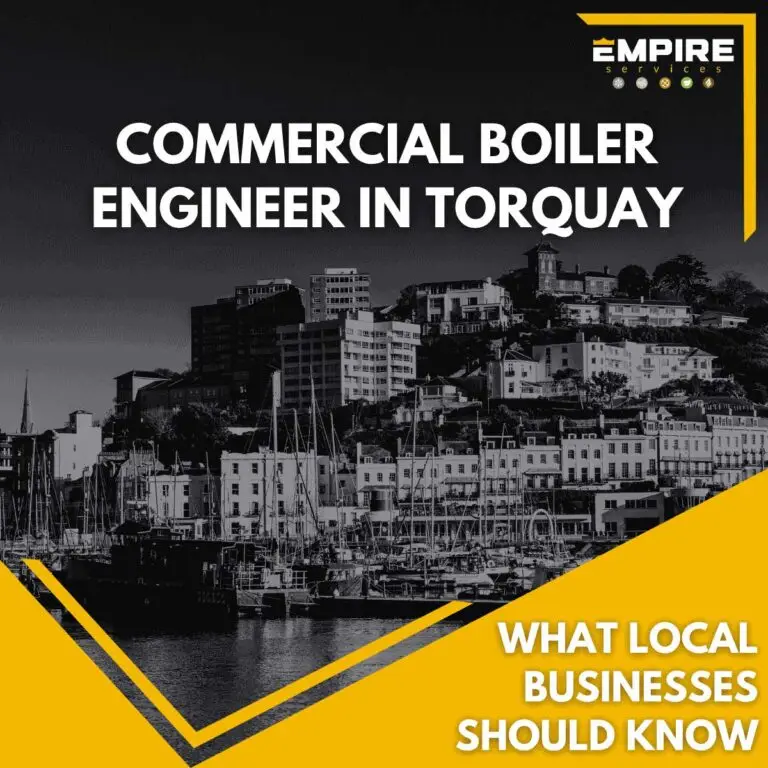 Commercial boiler engineer servicing a business heating system in Torquay and South Devon
